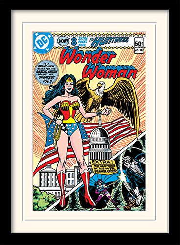 DC Comics Wonder Woman (Eagle) 30 x 40 cm Objet Souvenir