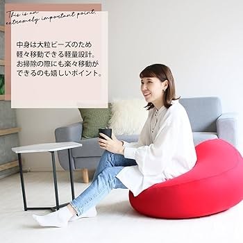 Amazon.co.jp: Hokushin(ホクシン) ビーズクッション エッグ