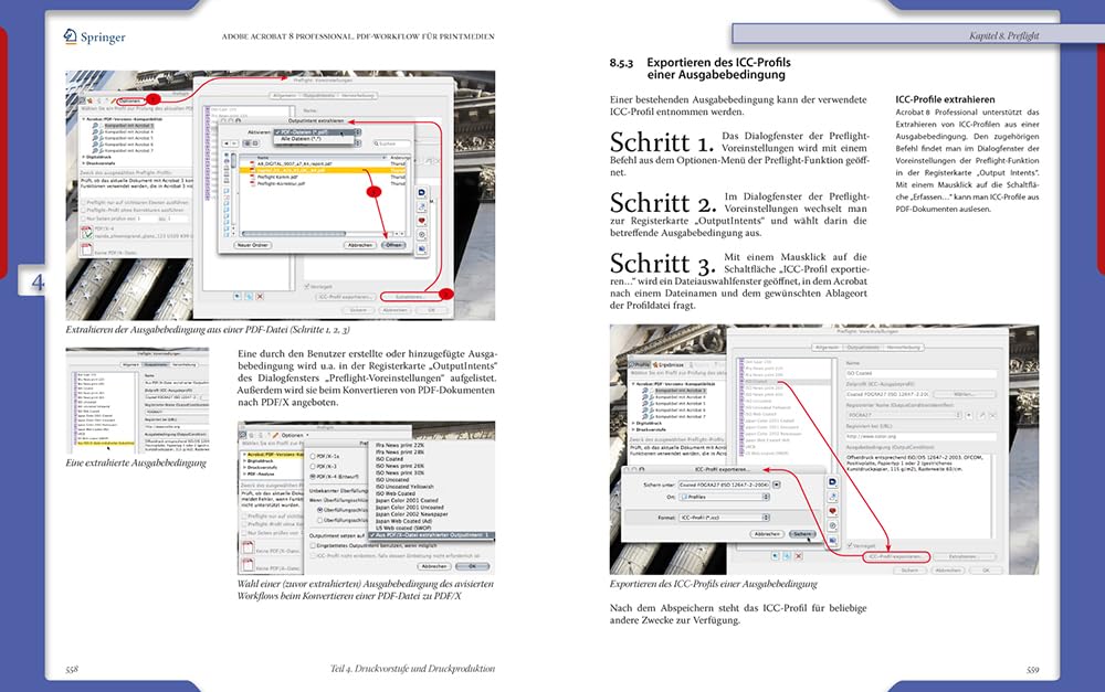 Adobe Acrobat® 8 Professional: PDF-Workflow für Printmedien (X.media.press)