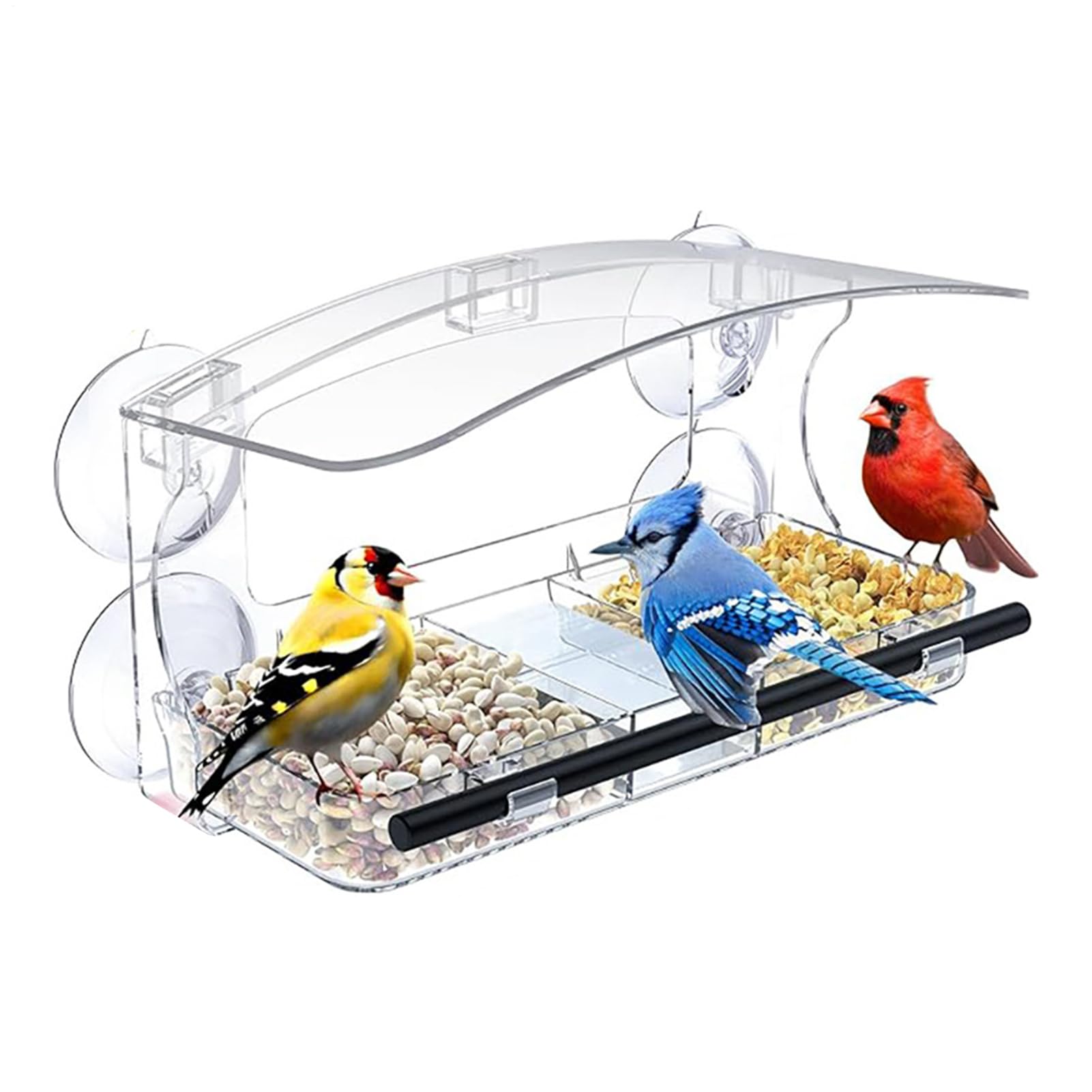Distributeur d'oiseaux à ventouse avec bac amovible étanche en acrylique transparent pour fenêtre