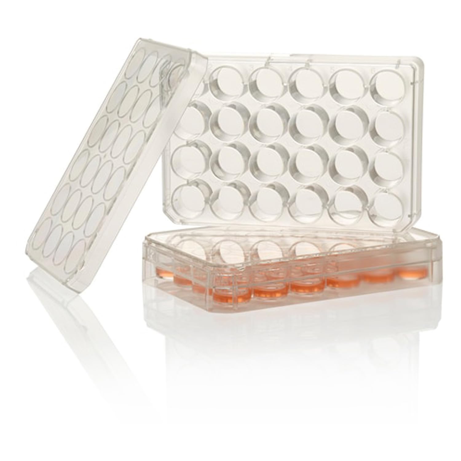 Thermo Scientific Nunc™ Multischalen mit UpCell Oberfläche