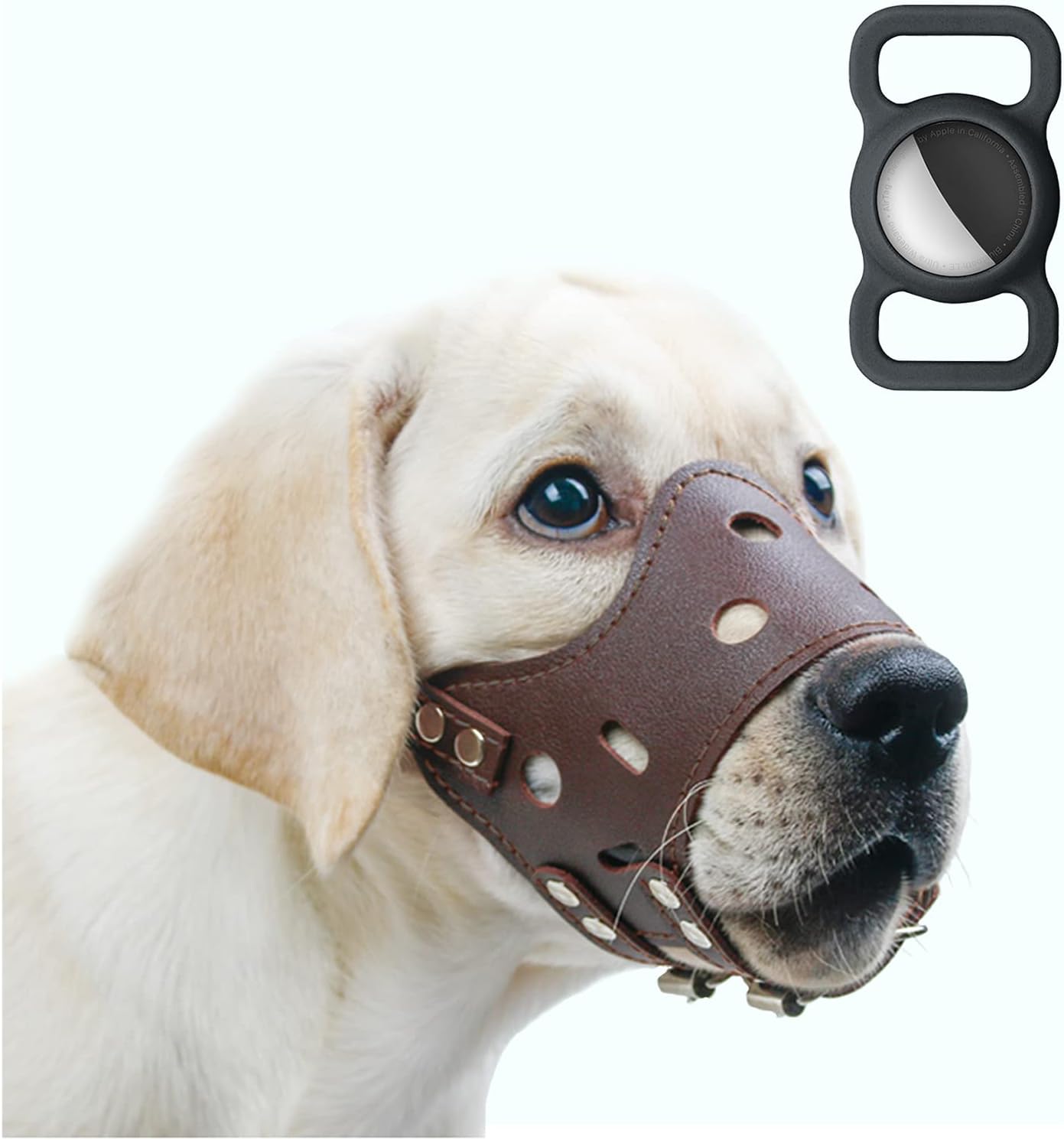 dog muzzle that allows eating