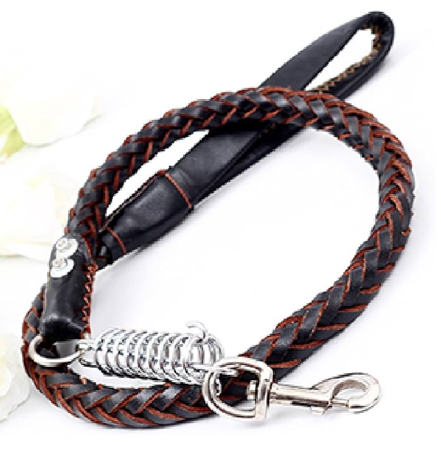 Amazon | [jiroo] 首輪 リード セット 犬首輪 ペット用 ハーネス