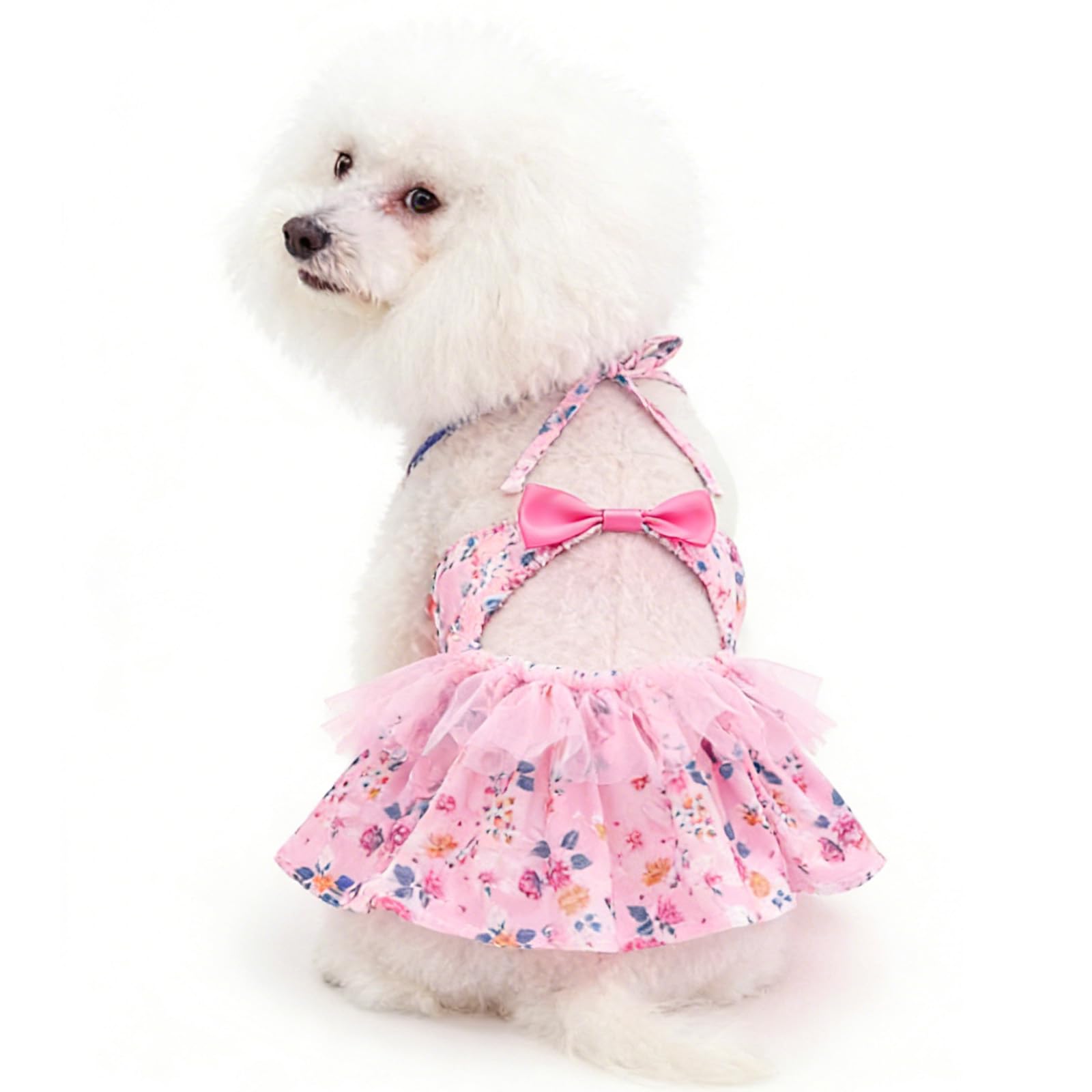 CuteBone One Piece Dog Bikini Swimsuit Dress - Puppy Bathing Suit Costume for Small Dogs - Comfortable &amp; Stylish Pet Clothes for Summer Pool, Beach &amp; Play LTDB15XS