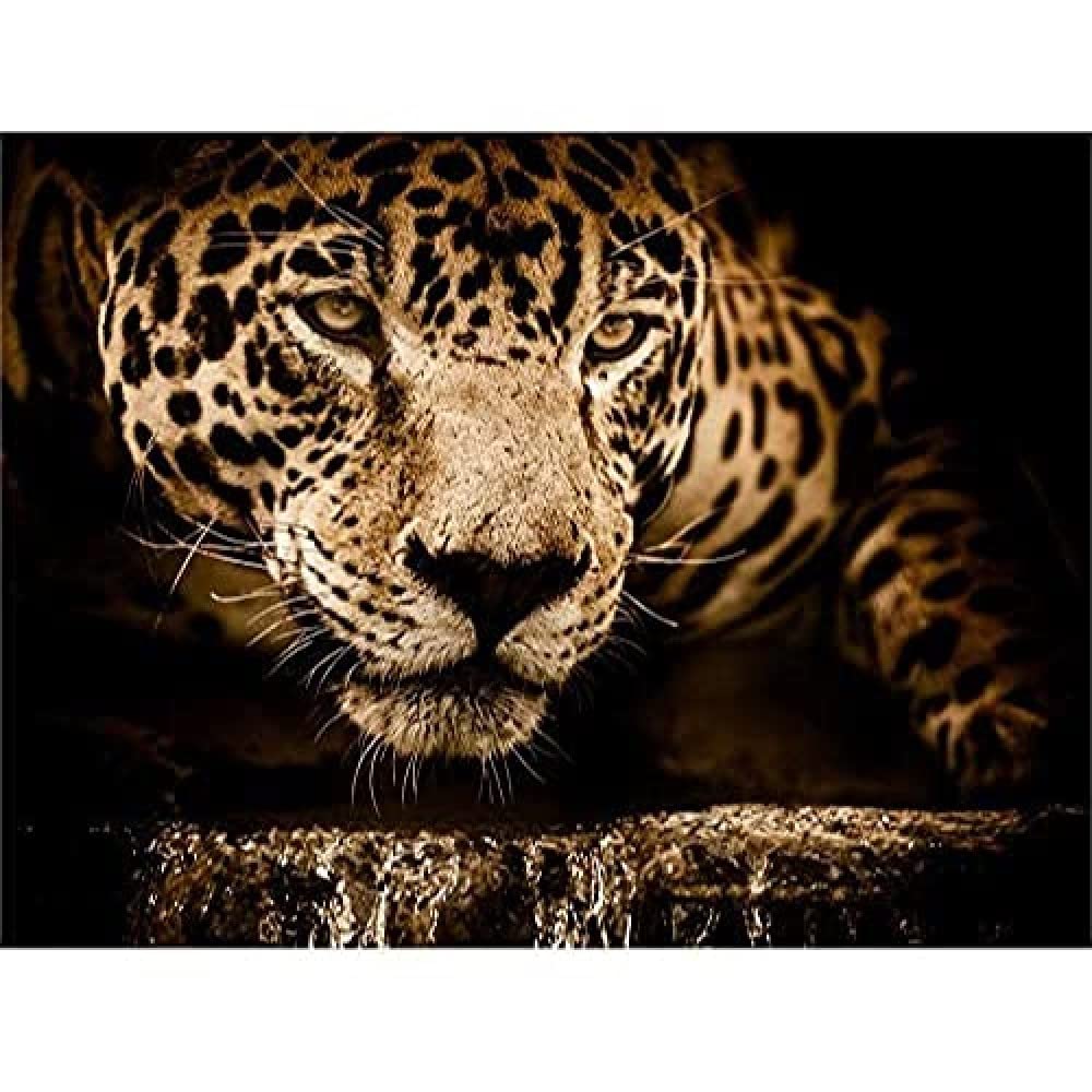 Jaguar Head Big Cat Wall Art Print