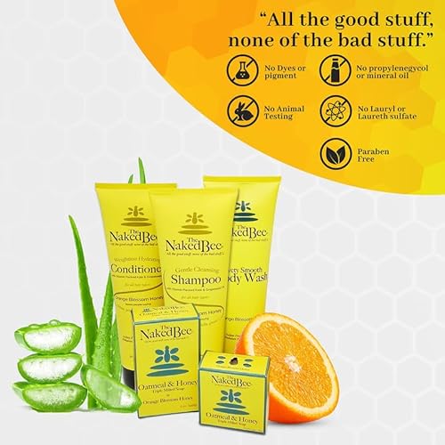 The Naked Bee NBFS-O Orange Blossom Honey Foam Soap (12Oz) Liquid Foaming Hand Soap thumb #1