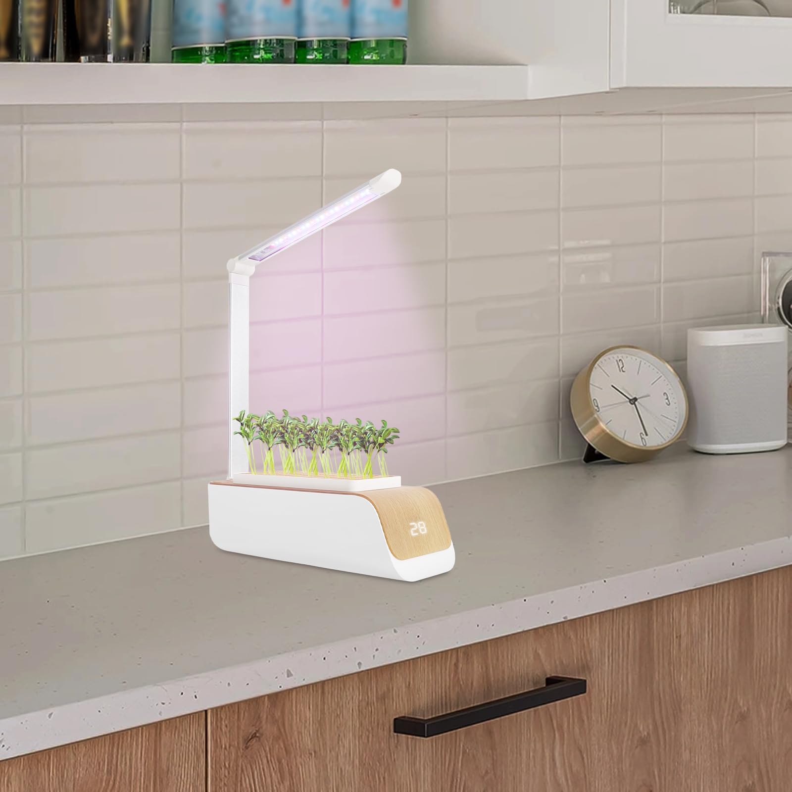 Sistema hidropónico, sistema de cultivo hidropónico de 10 W, depósito de agua de 5,5 L, maceta hidropónica para interiores con colores de luz LED, Smart Garden ajustable para frutas