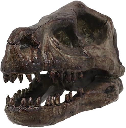 Ebros Gift Réplica de taxidermia sintética, figura de calavera pequeña de resina con acabado de bronce sintético, esqueletos prehistóricos, fósiles