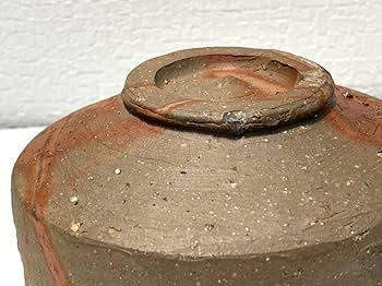茶道具 茶碗 備前焼 Amazon | 316備前焼 堀江英城 茶碗茶道具 茶器 茶事 陶器 共箱付