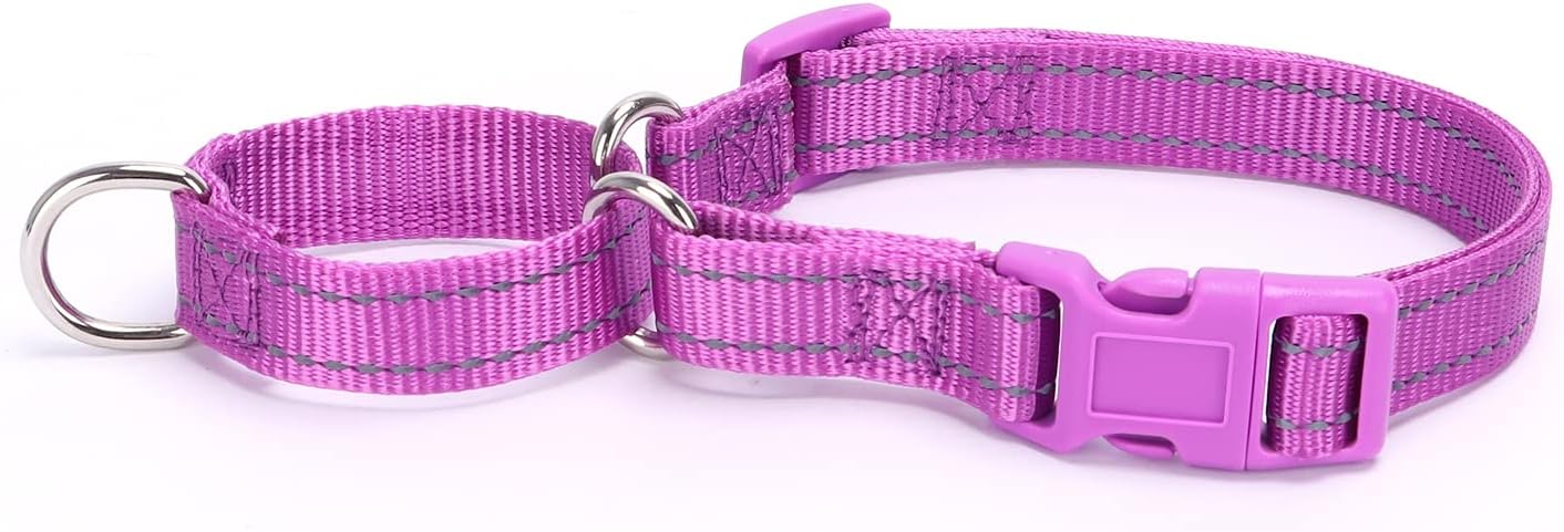 Martingale Dog Collars - Reflective Dog Collar with Quick Release Buckle Adjustable Nylon Training D Solution for Large, Medium, and Small Dogs (S, Purple)