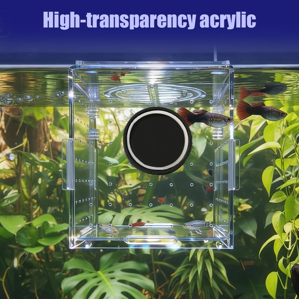 Caja de cría de peces, contenedor acrílico de aislamiento de peces, incubadora de acuarios con fijación magnética para peces y camarones