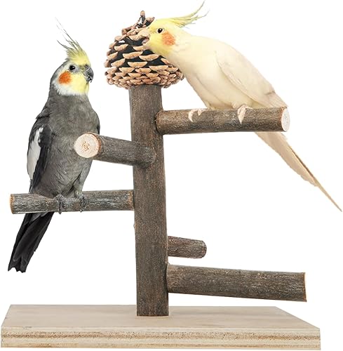 Soporte de perca para pájaros, soporte portátil de mesa para pájaros, perca de entrenamiento de loros para periquitos, conures, tortolitos o cacatúas