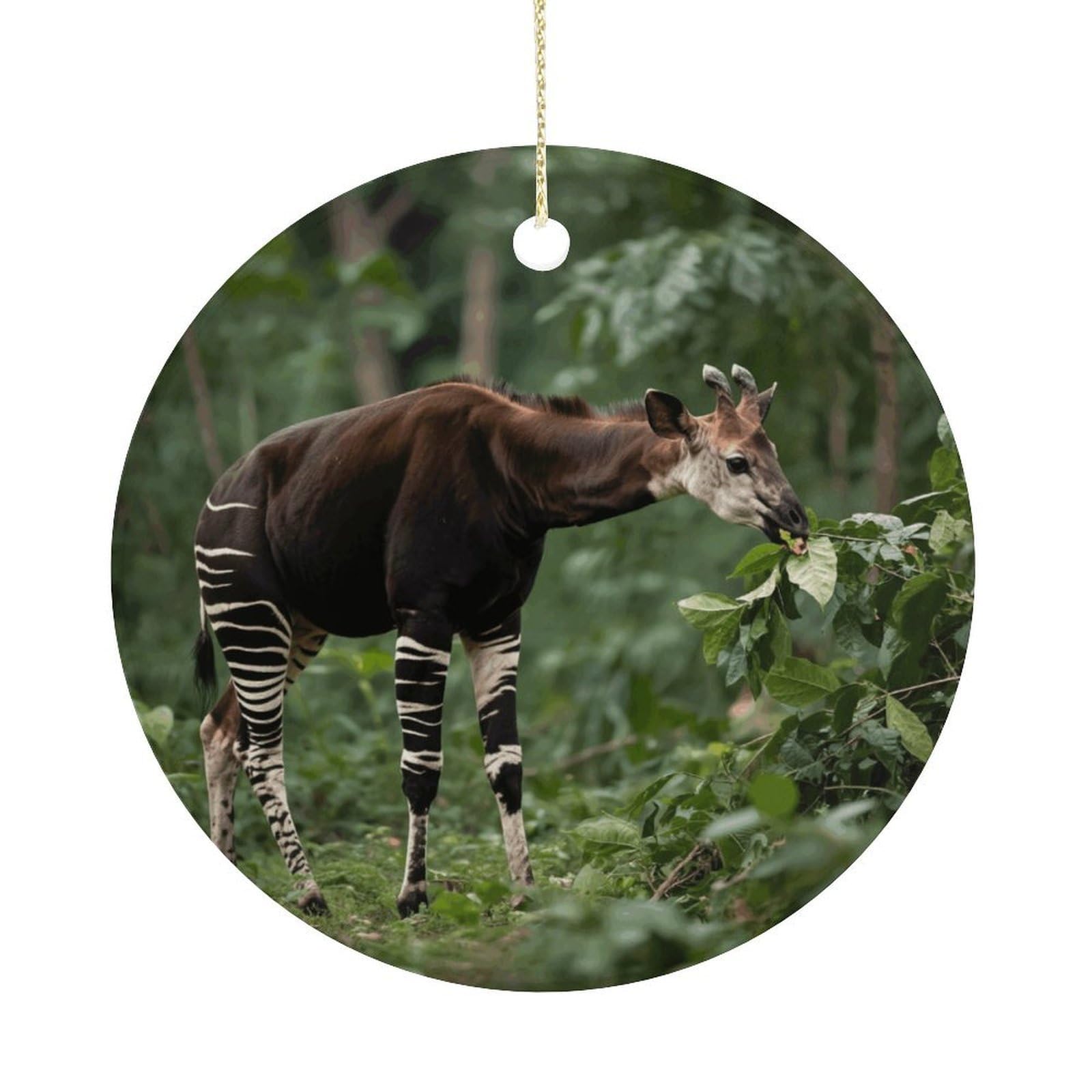 Personalized Christmas Ornaments 2025 Ceramic Hanging Narwhal Ornaments with Gold String Double-Sided Vintage Holiday Decorations for Tree Mantel Tabletop Xmas Party Favors