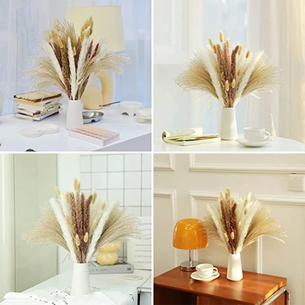 100 Fleurs Séchées en Forme De Queue De Lapin, Tiges d'herbe De La Pampa Naturelles, Style Bohème, pour Mariage, Maison, Remplissage De Vases, 30-45 Cm