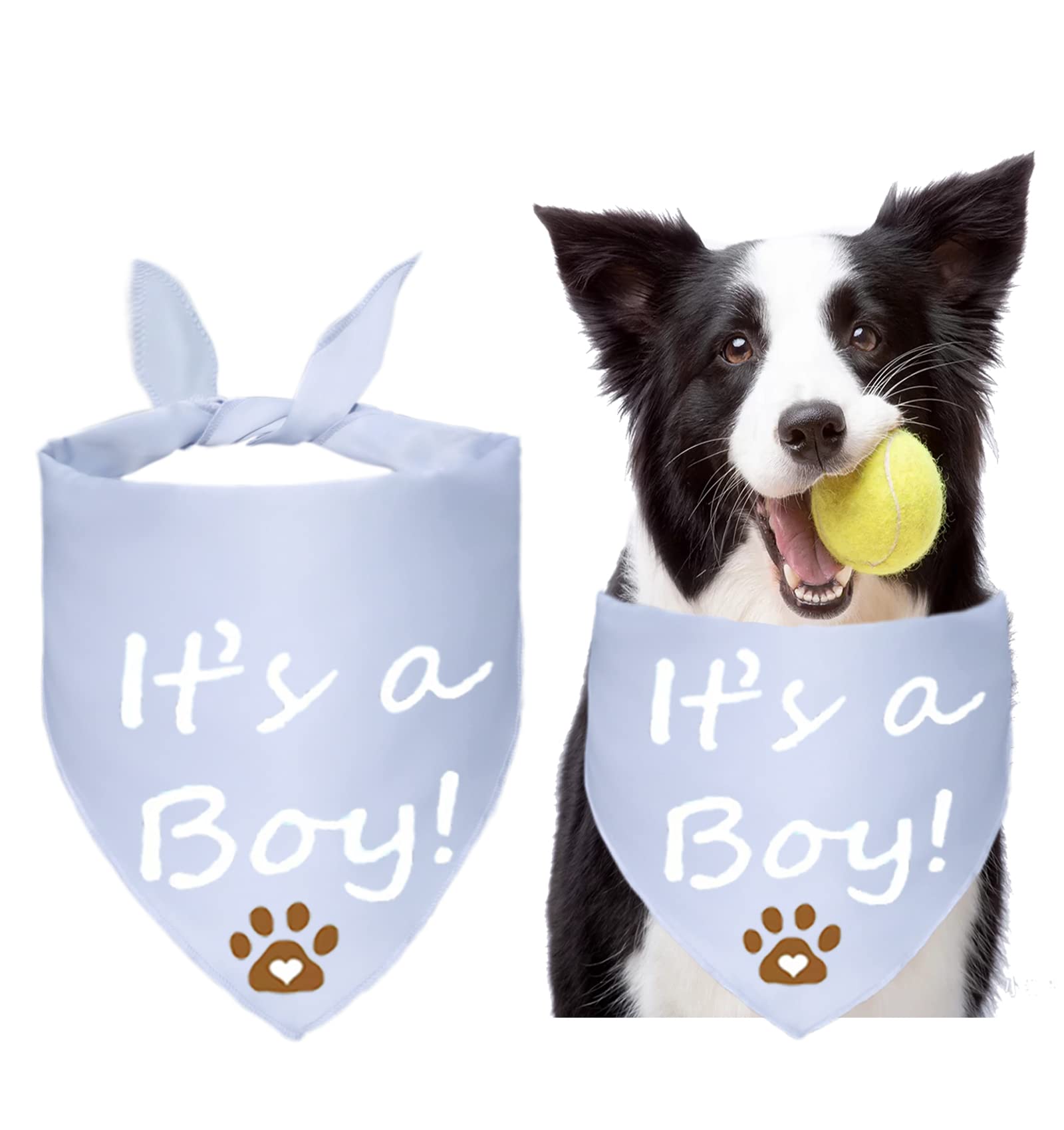 What Gender Is Blue The Dog