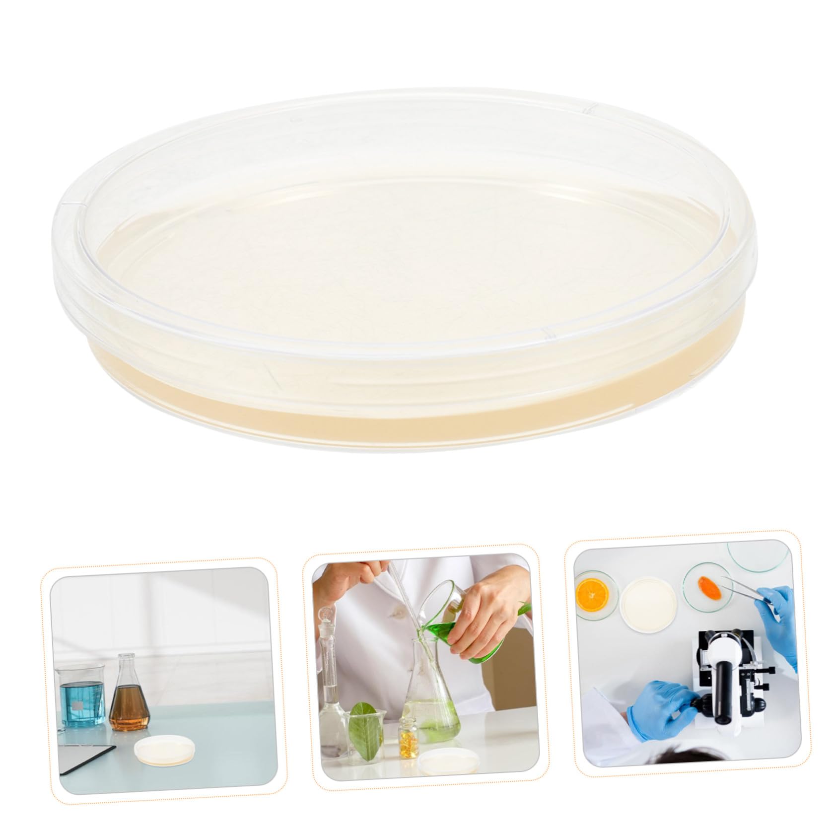 20 Piastre di Petri di Plastica Sterili Agar Nutriente Preversato 9 Cm, per Coltivazione di Funghi e Esperimenti Scientifici di Laboratorio