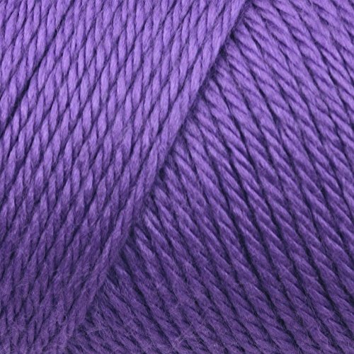 Image of Bulk Buy: Caron Simply Soft Yarn Solids (2-Pack) (Grape)