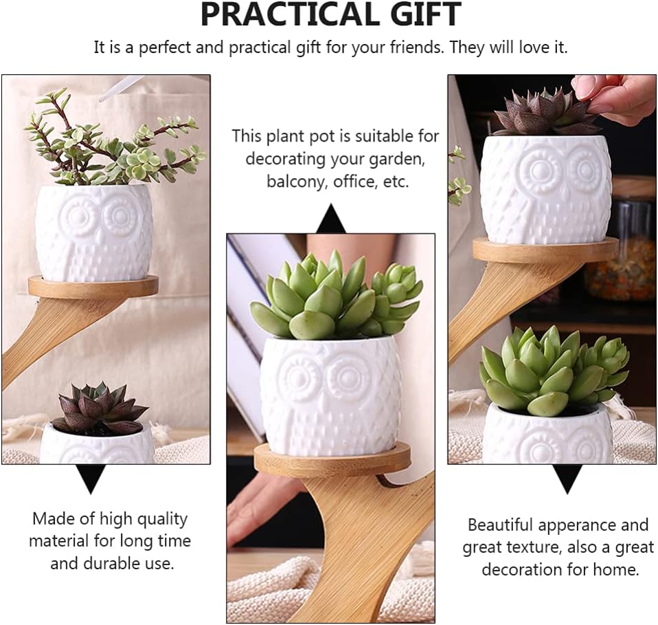 Angoily Ceramic Succulent Planter Pot with Wood Rack Small Planting Pot Planter for Garden Balcony Patio Home Desktop