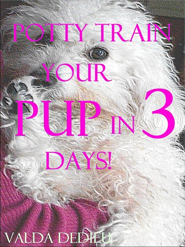 puppy potty training boot camp