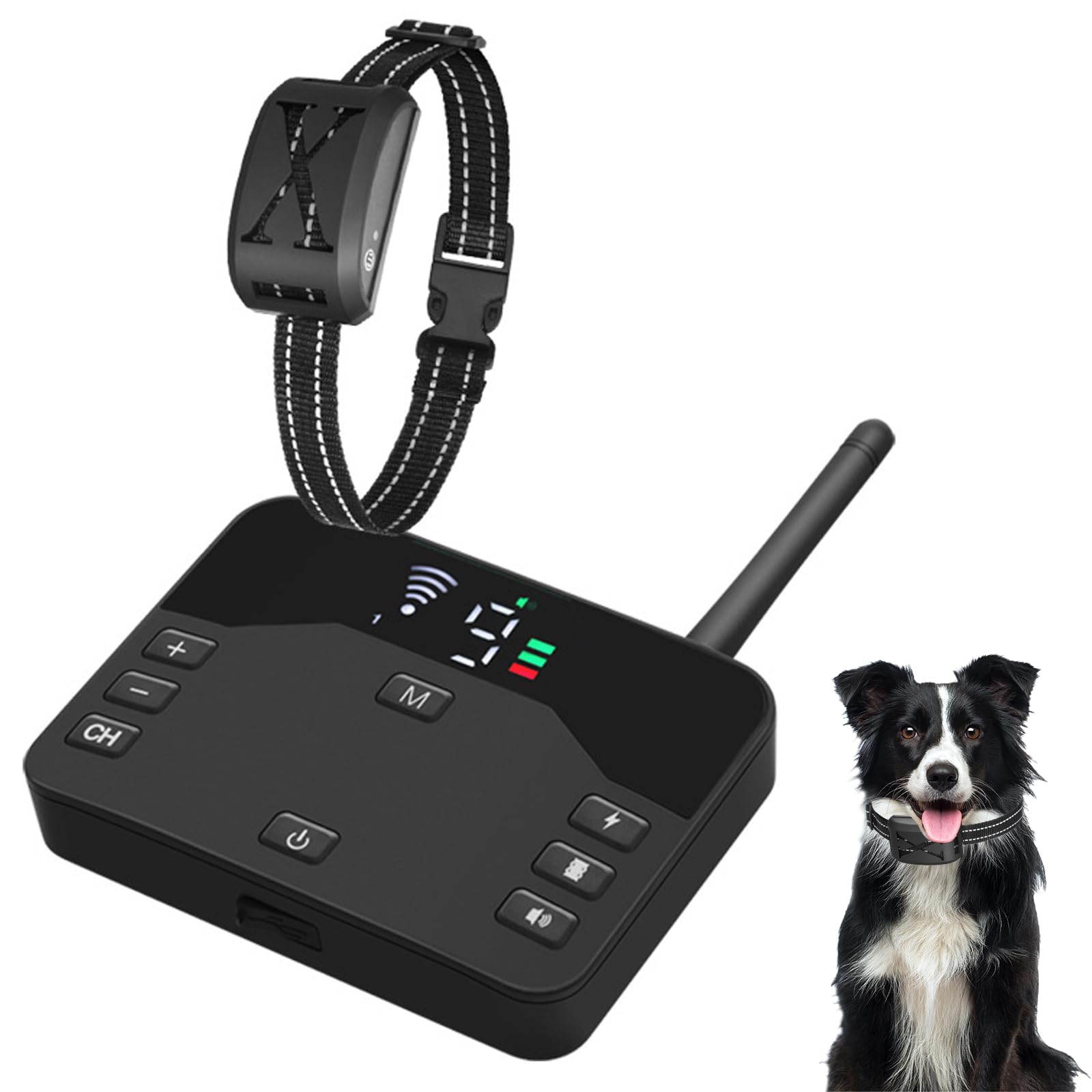 clôture électrique sans fil pour chien