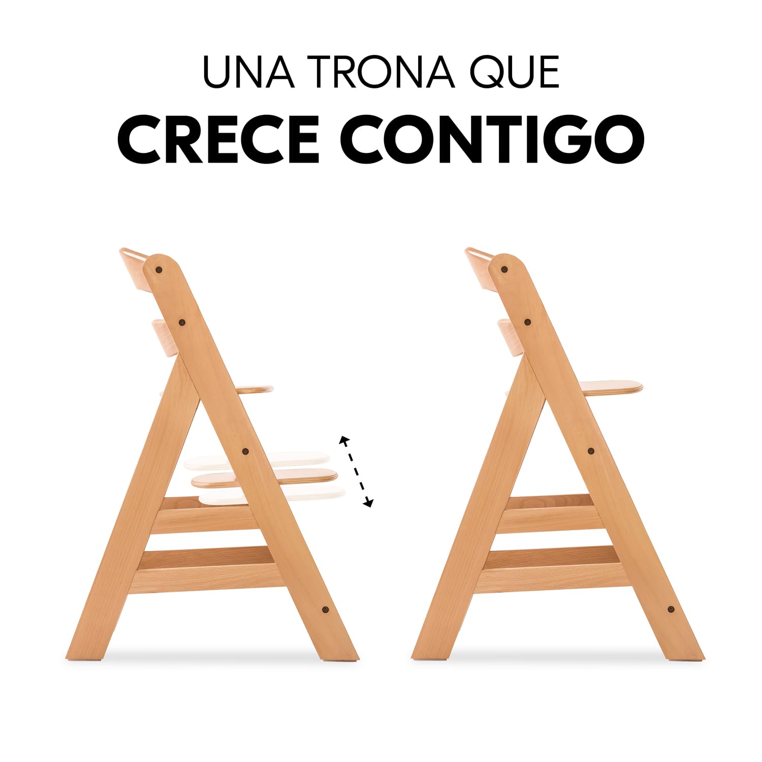hauck Alpha Plus Trona Evolutiva Madera de Haya Certificada FSC® | Sillas Tronas para Bebé desde 6 Meses hasta 90 kg - Incluye Arnés de 5 Puntos y Barra Protectora - Natural
