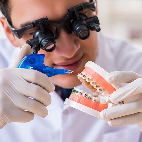 Miniatura 7 de Bandas de goma para aparatos ortopédicos, 1040 unidades de ligadura de ortodoncia negra, juntas tóricas, bandas elásticas