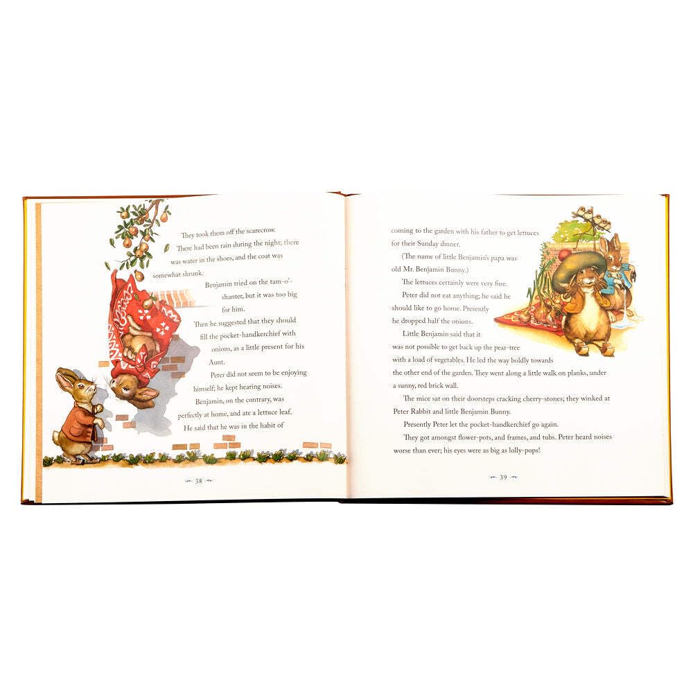 Amazon.com: Graphic Image Peter Rabbit Classic Book Handbound in