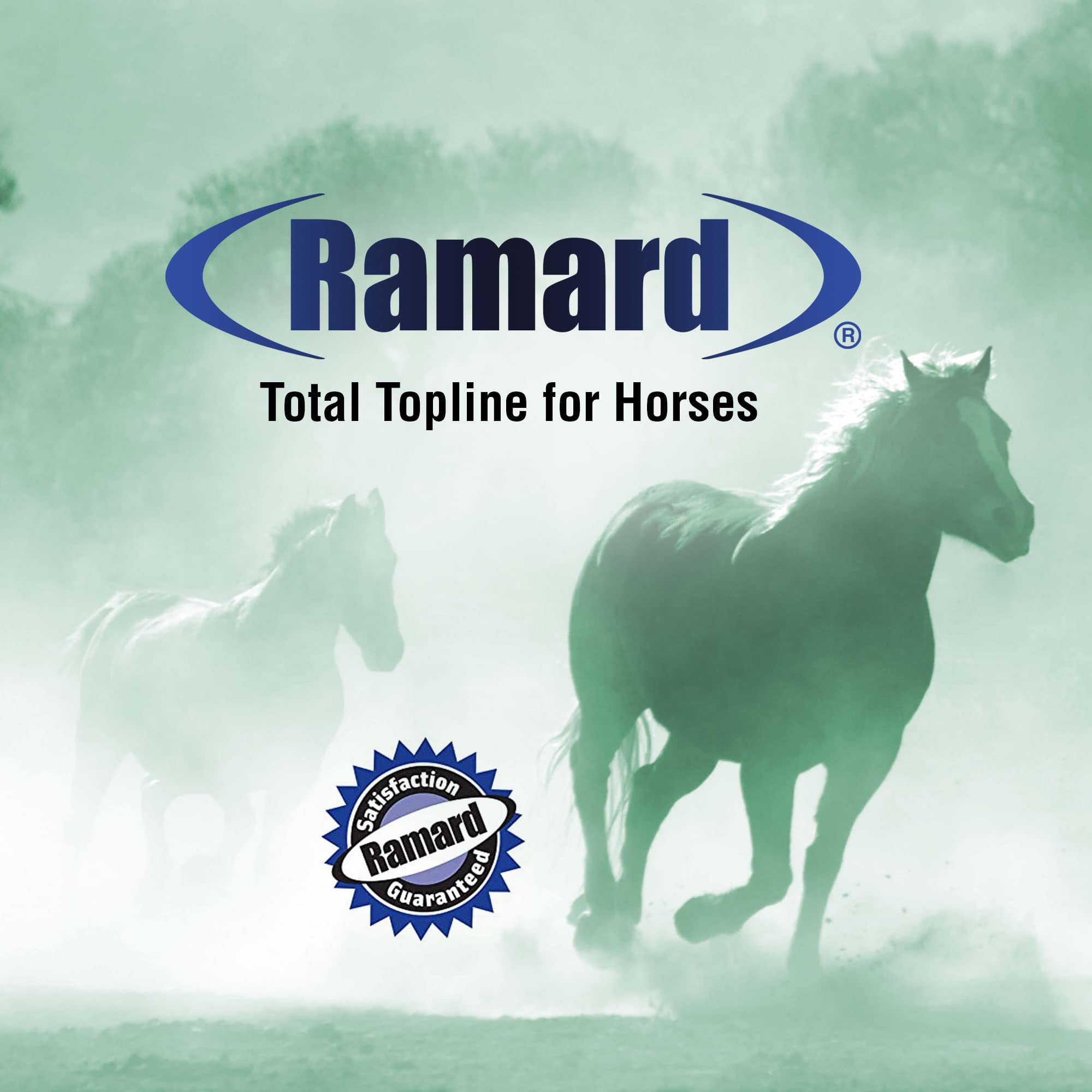 Buy Ramard Total Topline Powder Horse Supplements Performance Equine