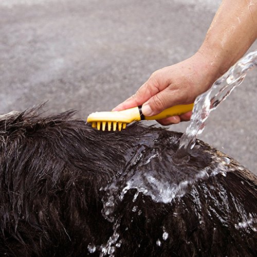 DELE Dog Massage Brush, Curry Comb for Dogs, Pet Bath Brush with Memory Gel Shedding Tools for Short to Long Smooth Hair, Blue - Thumbnail 3