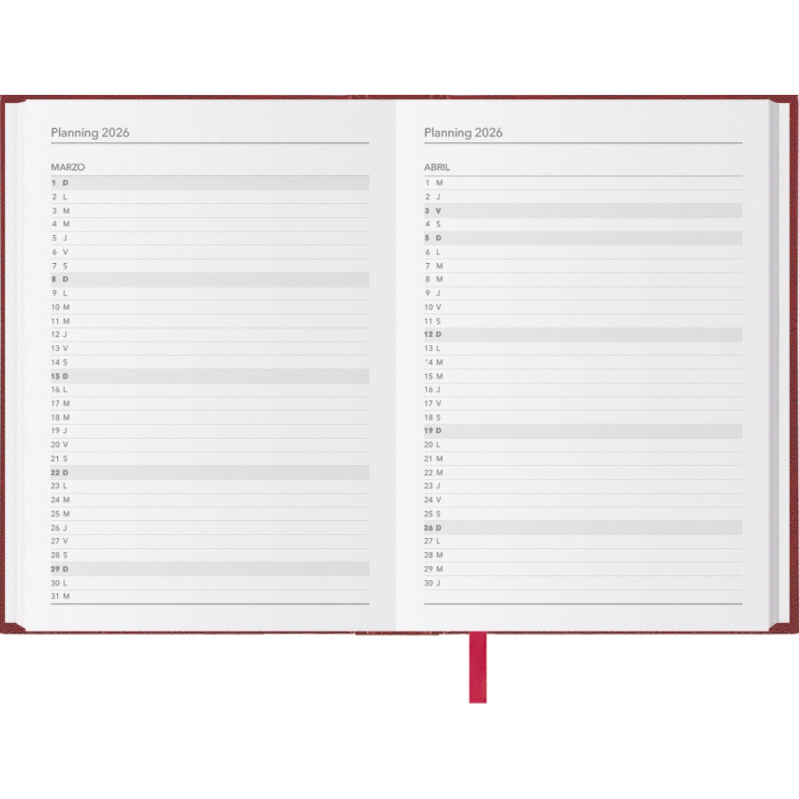 Dohe - Kalender 2026 - dagoverzicht, A5 (14 x 20 cm), gouden