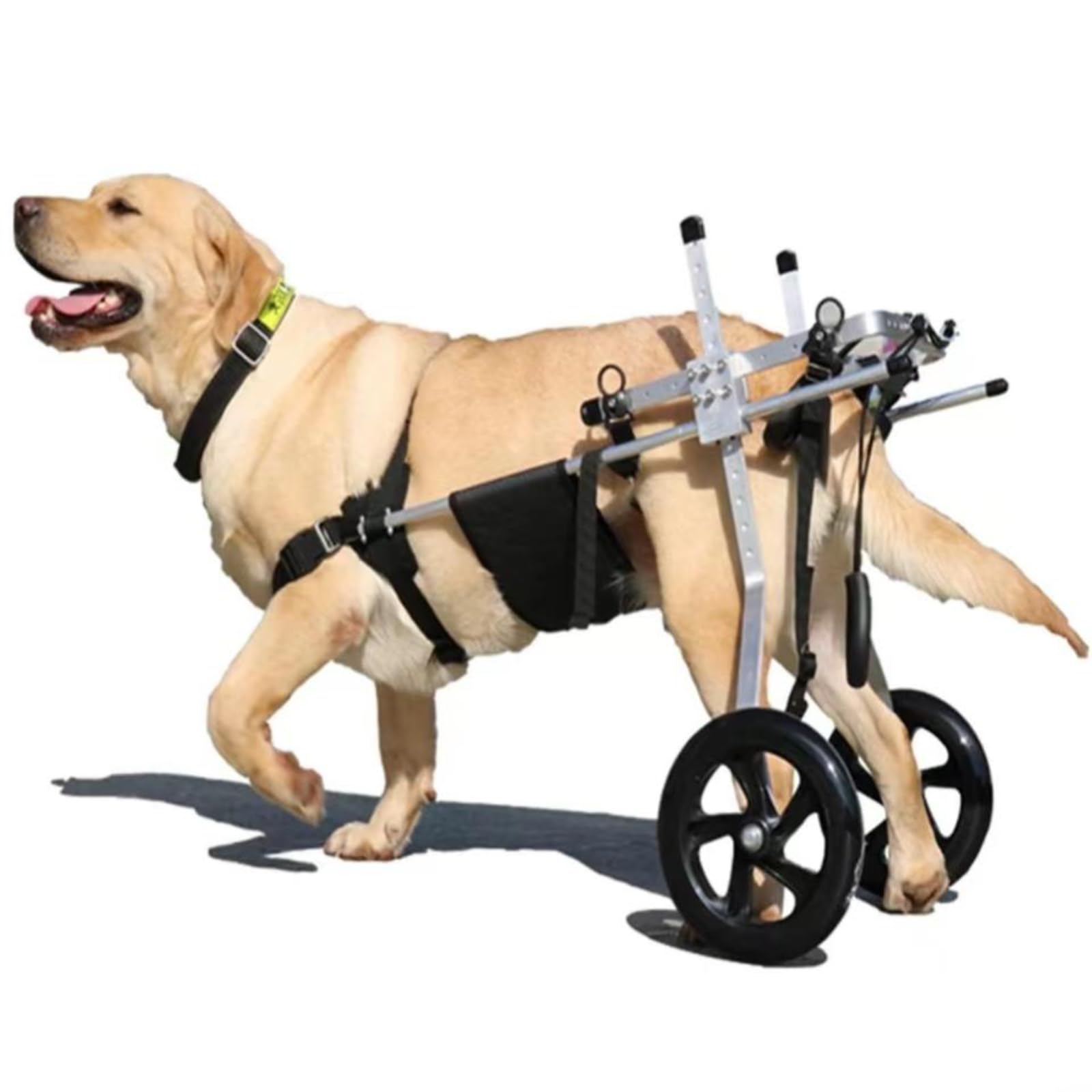 Carrozzina per Cani Carrozzina Disabili Sedia a Rotelle Supporto Riabilitazione Struttura Solida Leggermbracatura Regolabile Adatta Veterinaria, L