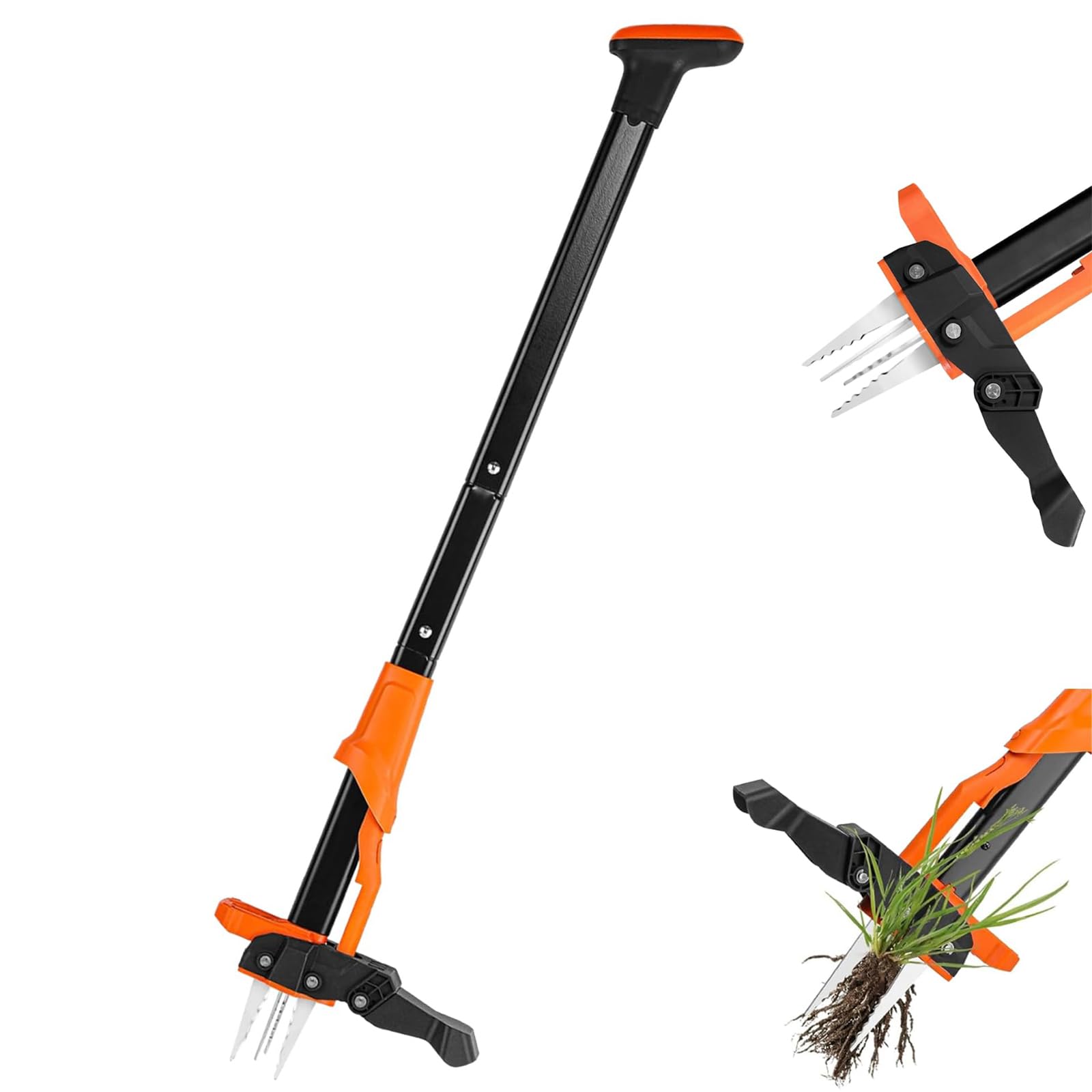 Extracteur de mauvaises herbes – Désherbeur robuste avec poignée de 99 cm, 4 griffes en acier au manganèse et éjection facile – Pas de flexion ni de genoux – Élimine les pissenlits, le trèfle, la