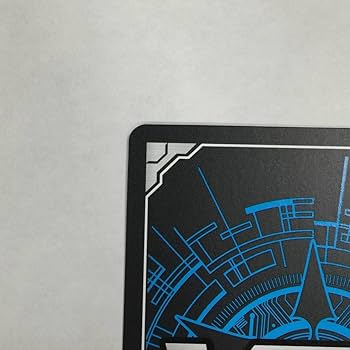 ヴァンガード 大陰陽師 ハオ SSR サイン マンキン Amazon.co.jp: ヴァンガード シャーマンキング D-TB04/SSR03 大