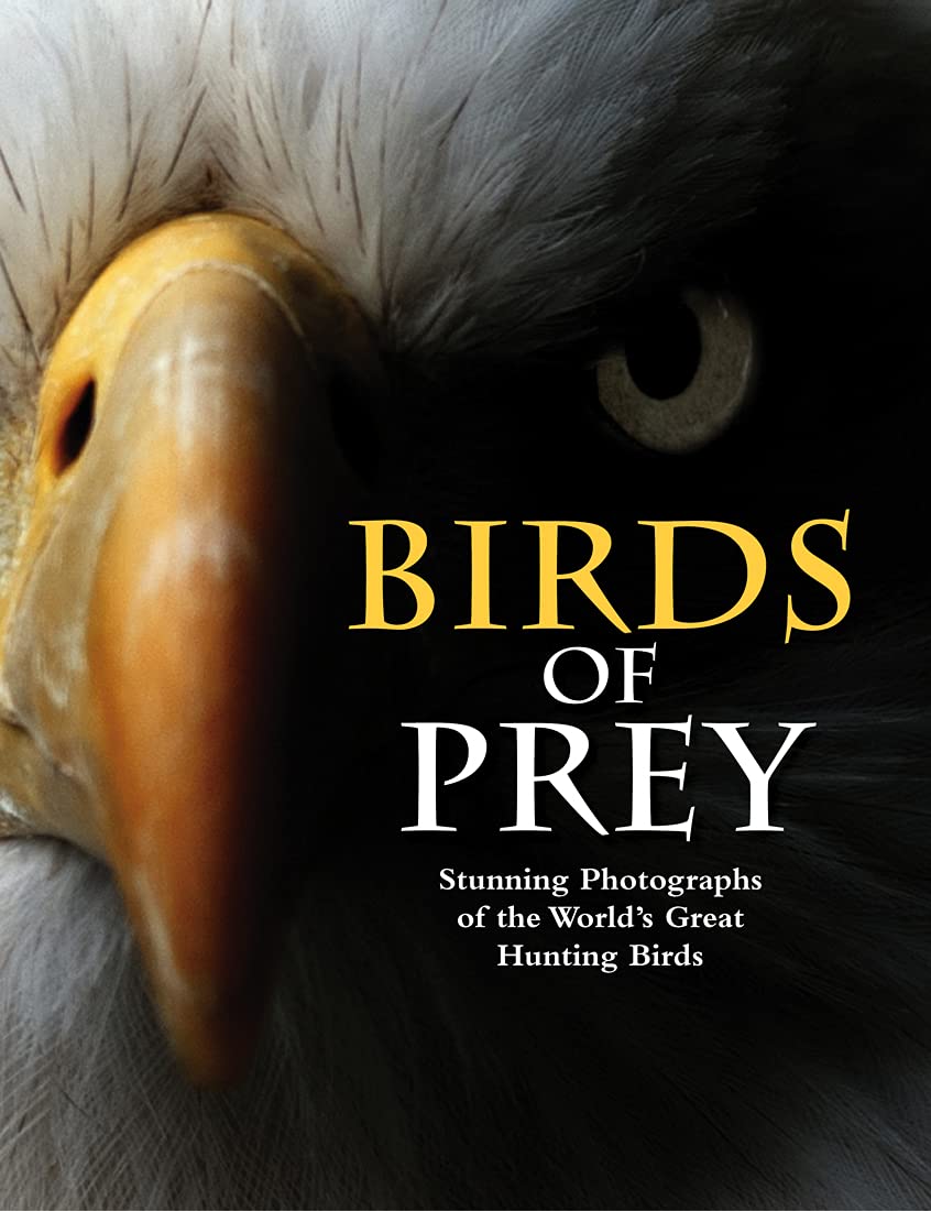 Birds of Prey livre ornithologie faune sauvage rapaces du monde