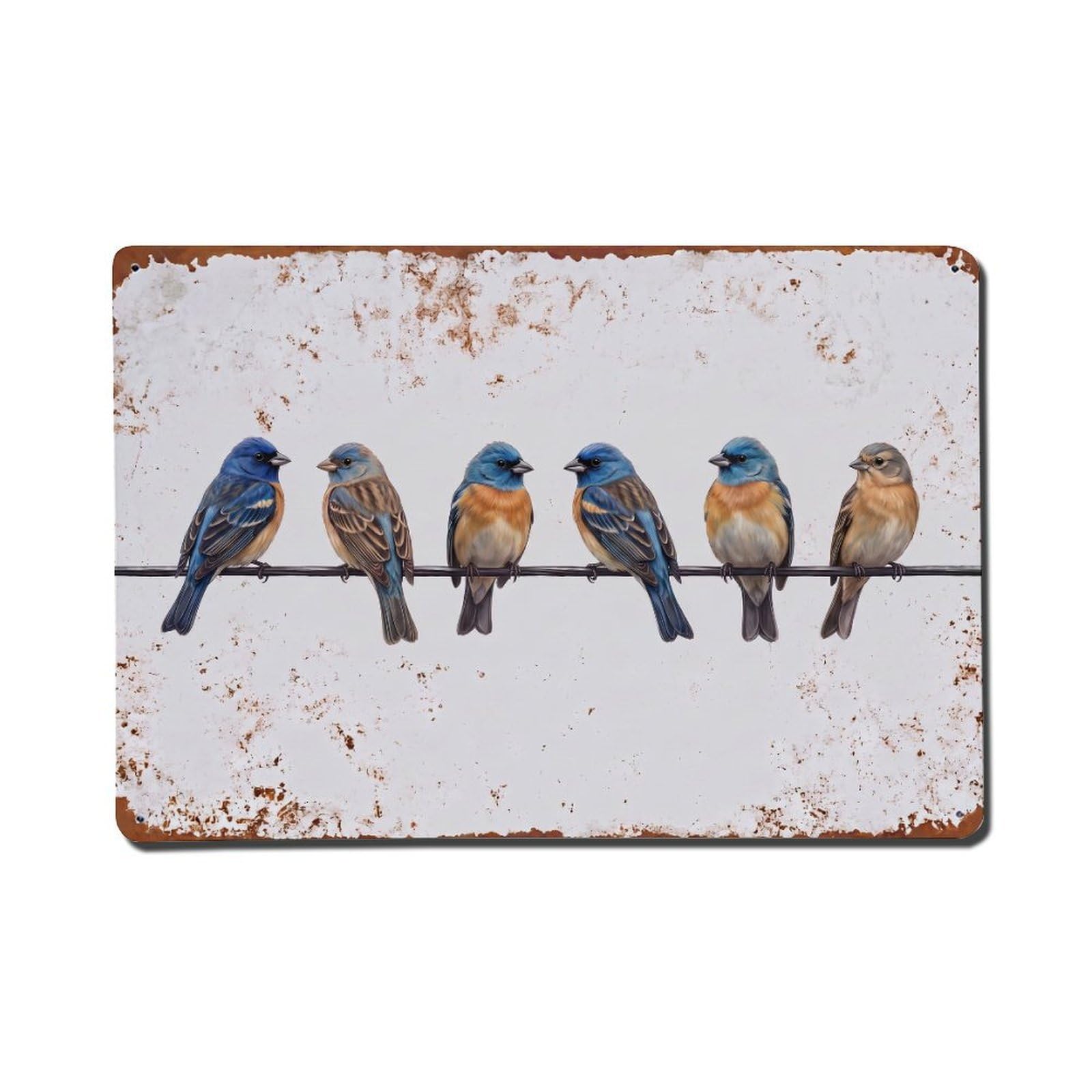 Vintage Retro Birds Lazuli Bunting Metal Tin Sign