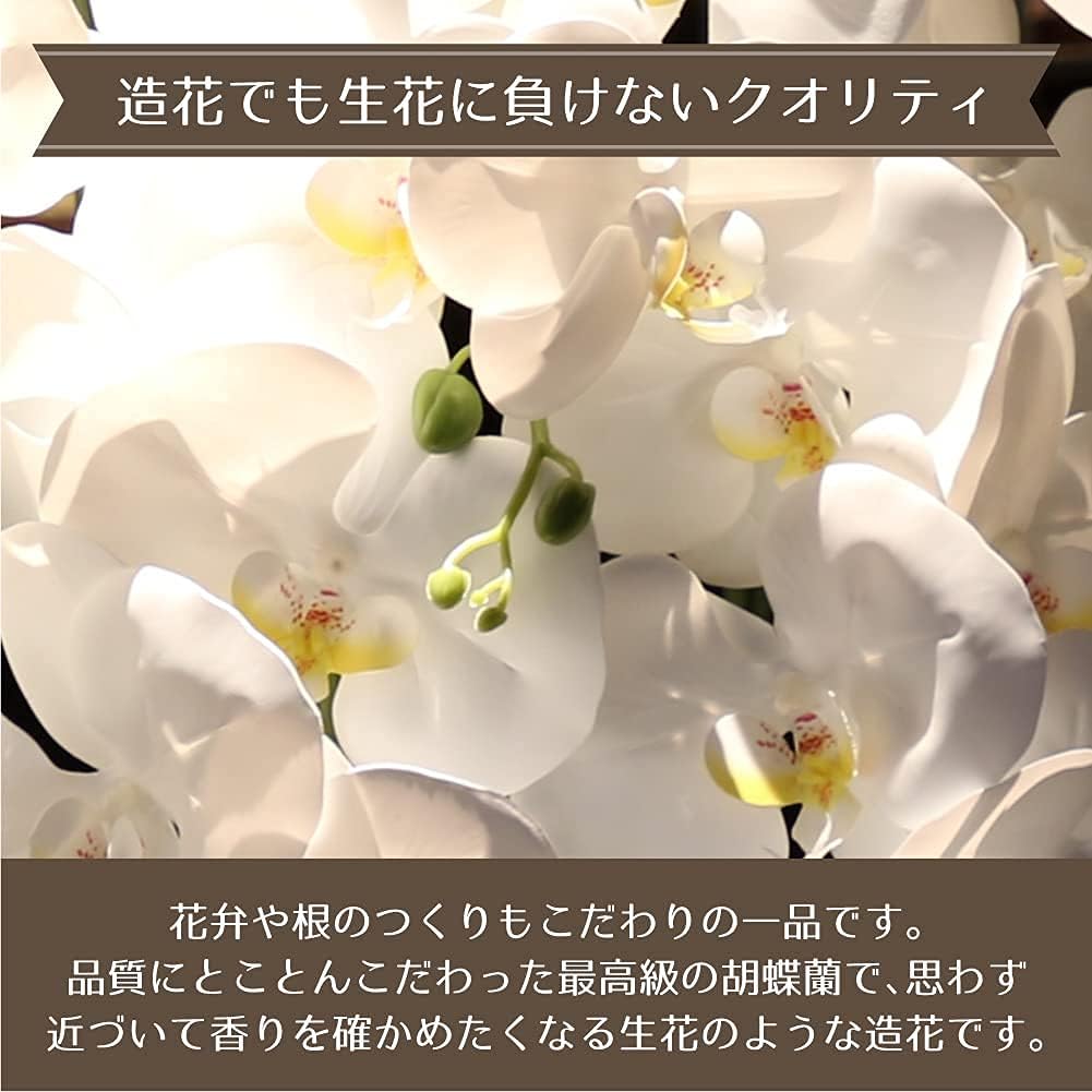 光触媒胡蝶蘭 ３本立 ラッピング有 胡蝶蘭 インテリア お祝い 贈り物 造花 プレゼント