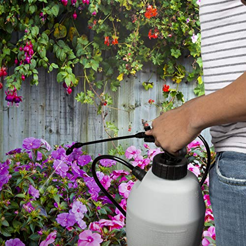 Spectracide Immunox Multi-Purpose Fungicide Spray Concentrate For Gardens, 16-Oz, Fl. Oz, Pack Of 6 (Total 96 Fl. Oz), Transparent #TOP4