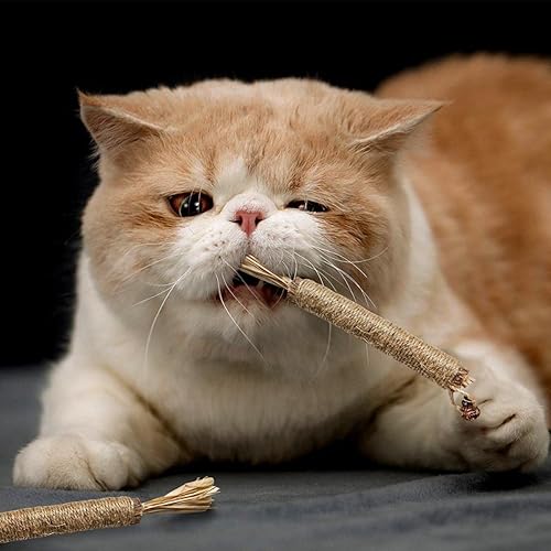 Miniatura 3 de Paquete de 4 palitos de vid plateada natural, juguetes para gatos, juguetes masticables para gatitos, limpieza de dientes, juguete de hierba gatera,