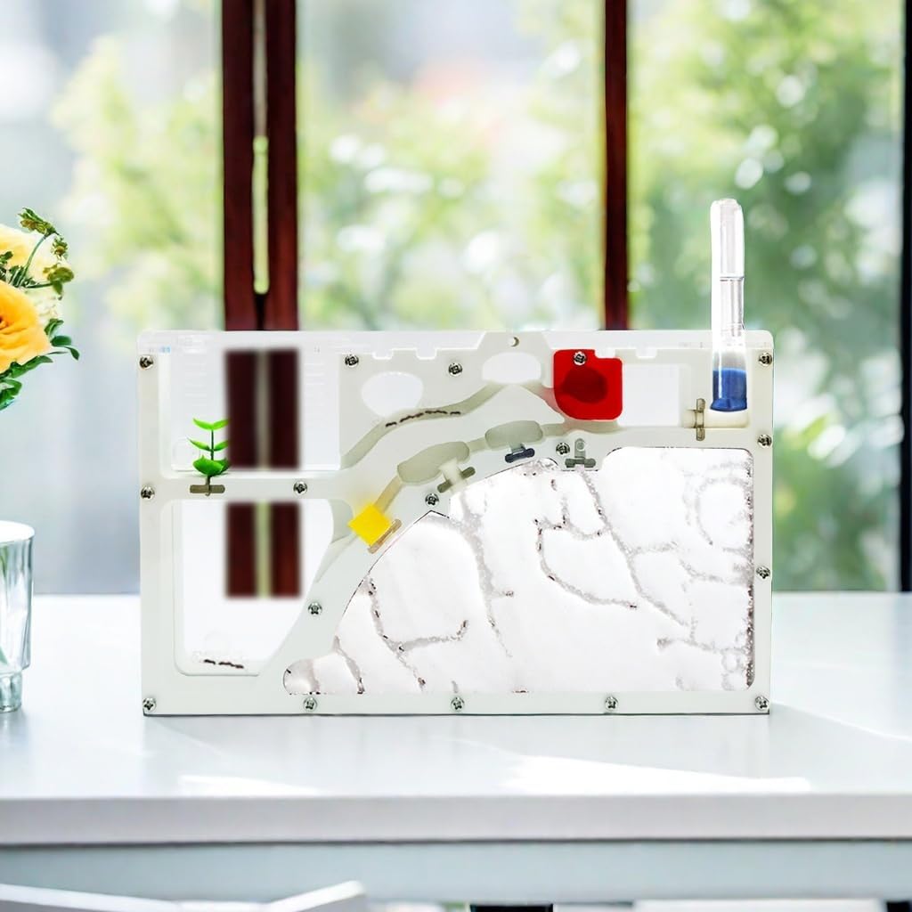 Sand Ant Farm Castle Ant Colony Ecosystem Science Educational Gift Live Ant Habitat to Study Insect Behavior