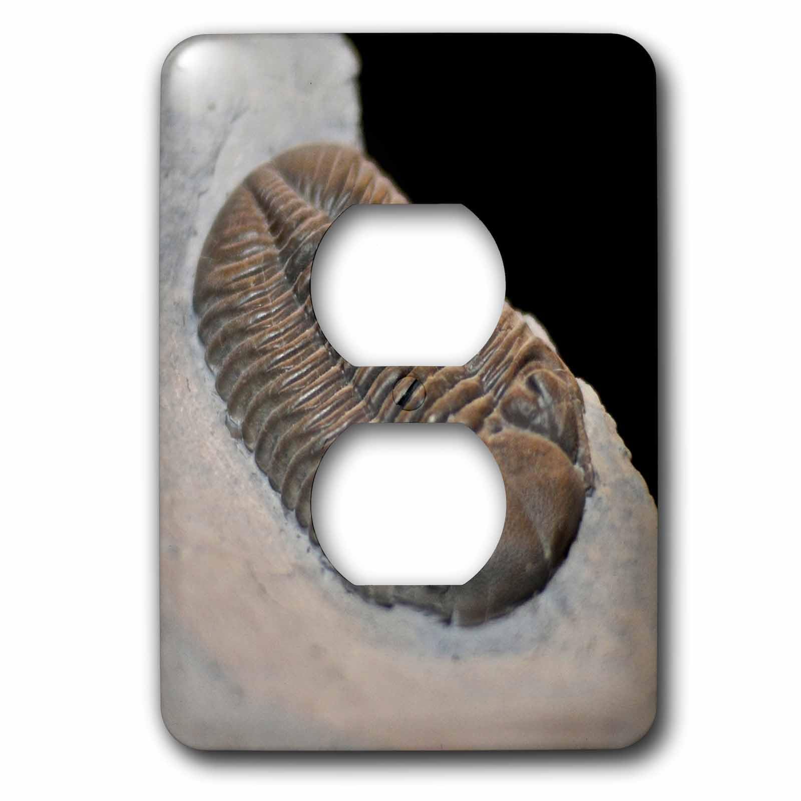 Andalusiana 3dRose lsp_16706_6 plaque de finition murale motif Maroc Cache 2 prises