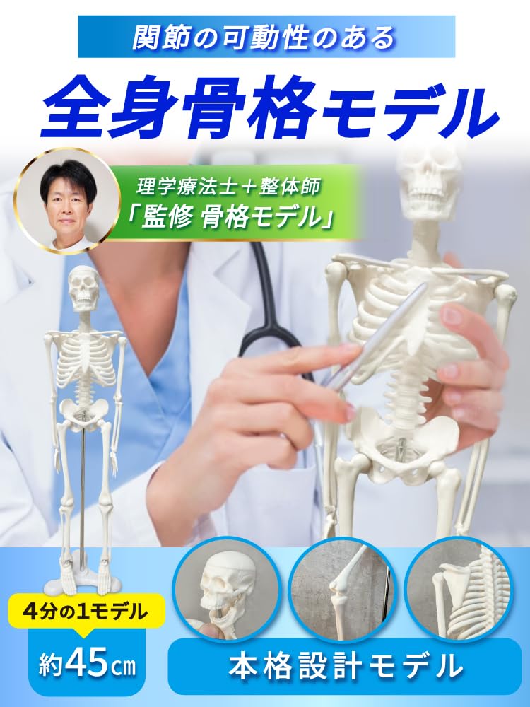 【サロン移転につき】ミニ人体模型 Amazon.co.jp: モノライフ 人体骨格模型 可動 ミニ 1/4 人体模型 全身