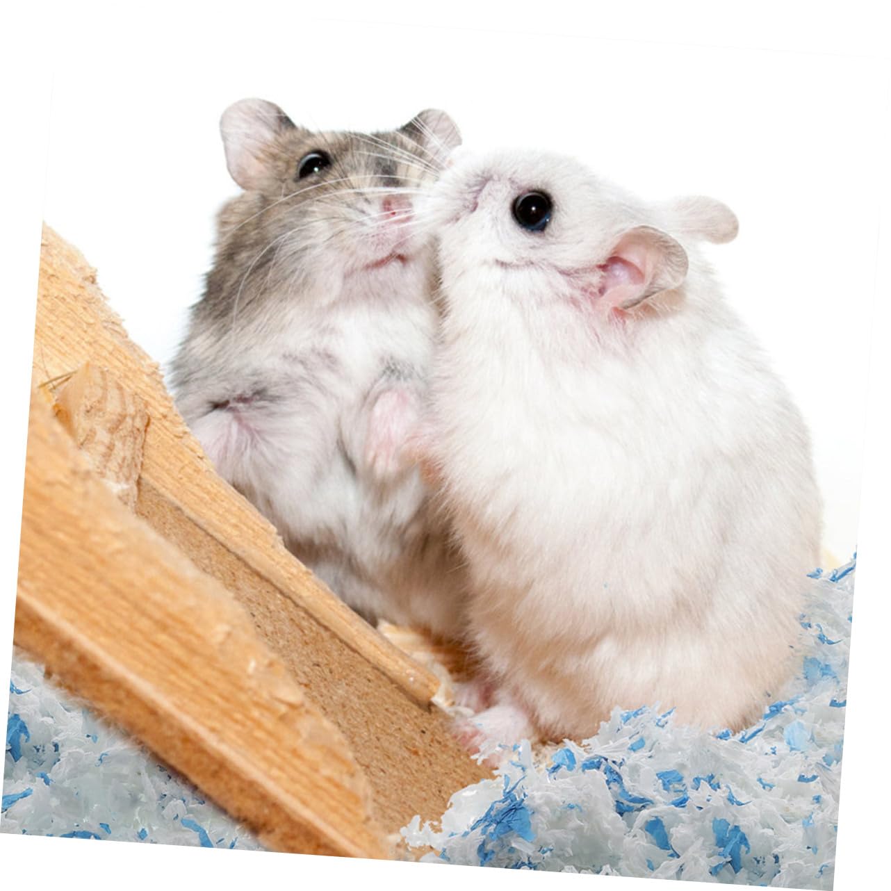 BESPORTBLE Lettiera in Carta per Piccoli Animali, Confezione da 2 Borse | Gabbia di Piccoli Animali, Superficie Delicata e Confortevole, Mantiene L’area Ordinata