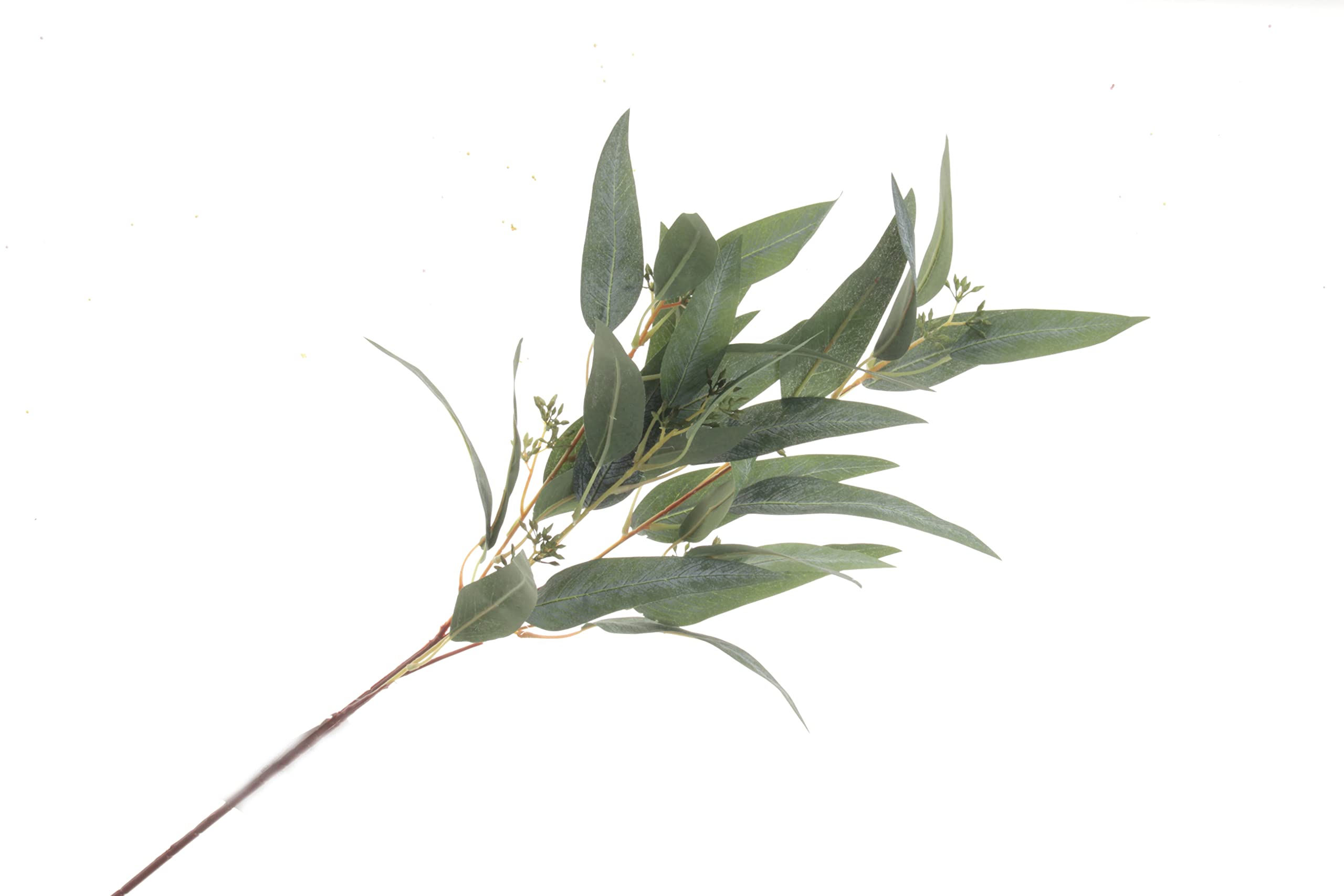 Corsage Creations - Eucalyptus Nicolii Spray - Green (84cm long)