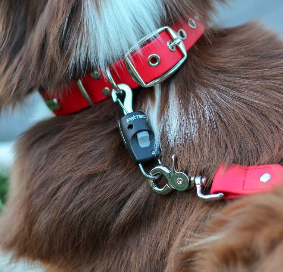 PetTec Anlein-Klick-System | Magnetverschluss für Hundeleine & Hundehalsband zum schnellen An- und Ableinen | Magnetleine Hund Anleinfix | Magnet Klicksystem fix rostfrei