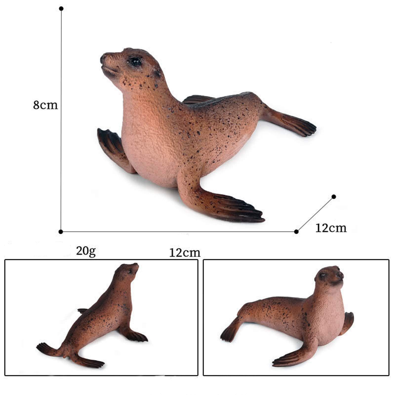 Amazon.co.jp: Eden Toys アザラシ アシカ ジュゴン セイウチ 海洋動物