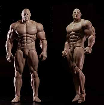 オリジナル品 マッスルフィギュア 男性 マッチョ 筋肉 ボディビル ボディービル Amazon.co.jp: マッチョ 素体 1 12 筋肉 アクションフィギュア
