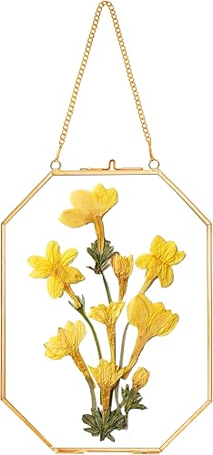Miniatura 10 de REDHUGO Marcos de flores prensadas, marcos flotantes de vidrio para exhibir imágenes de plantas secas, marco de fotos de latón colgante con cadena,