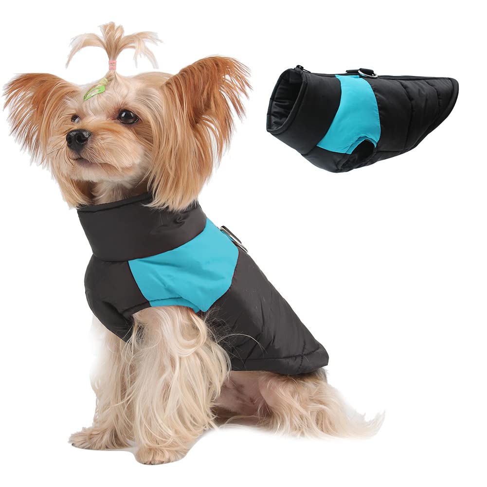 Novetec Abrigo del Perro de Invierno, Chaqueta del Perro Impermeable Abrigo de Invierno para Perros Pequeños Medianas Grandes Gato Chaleco de Invierno a Prueba de Viento Ropa Mascotas (S, Azul)