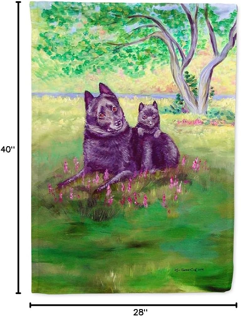 Caroline's Treasures 7263CHF Schipperke and puppy House Flag Large Porch Sleeve Pole Decorative Outside Yard Banner Artwork Wall Hanging, Polyester, House Size, Multicolor