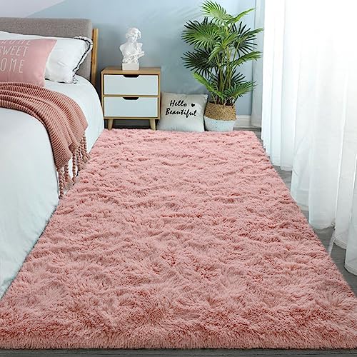 Dweike Super Soft Shaggy Rugs Fluffy Carpets, 4X6 Ft, Pink Area Rug For Living Room Bedroom Girls Kids Room Nursery Home Decor, Non-Slip Plush Indoor Floor Bedside Rug, 4X6 Feet Pink #TOP7